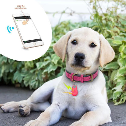 Smart Pet GPS Tracker, Compact Design
