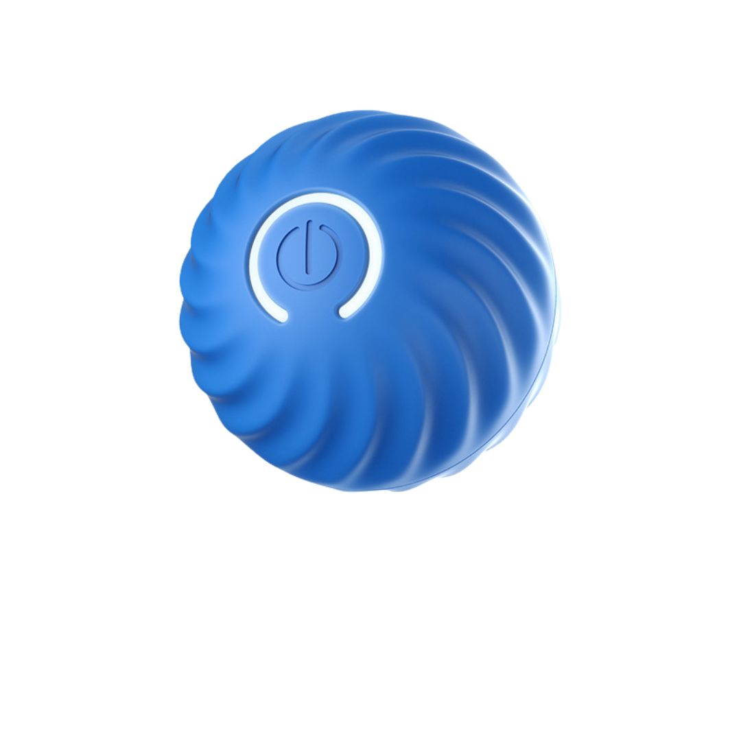 Interactive Play Ball for Dogs, Engaging Activity