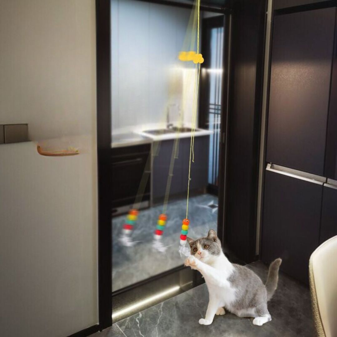 Interactive Hanging Cat Toy, Fun Activity