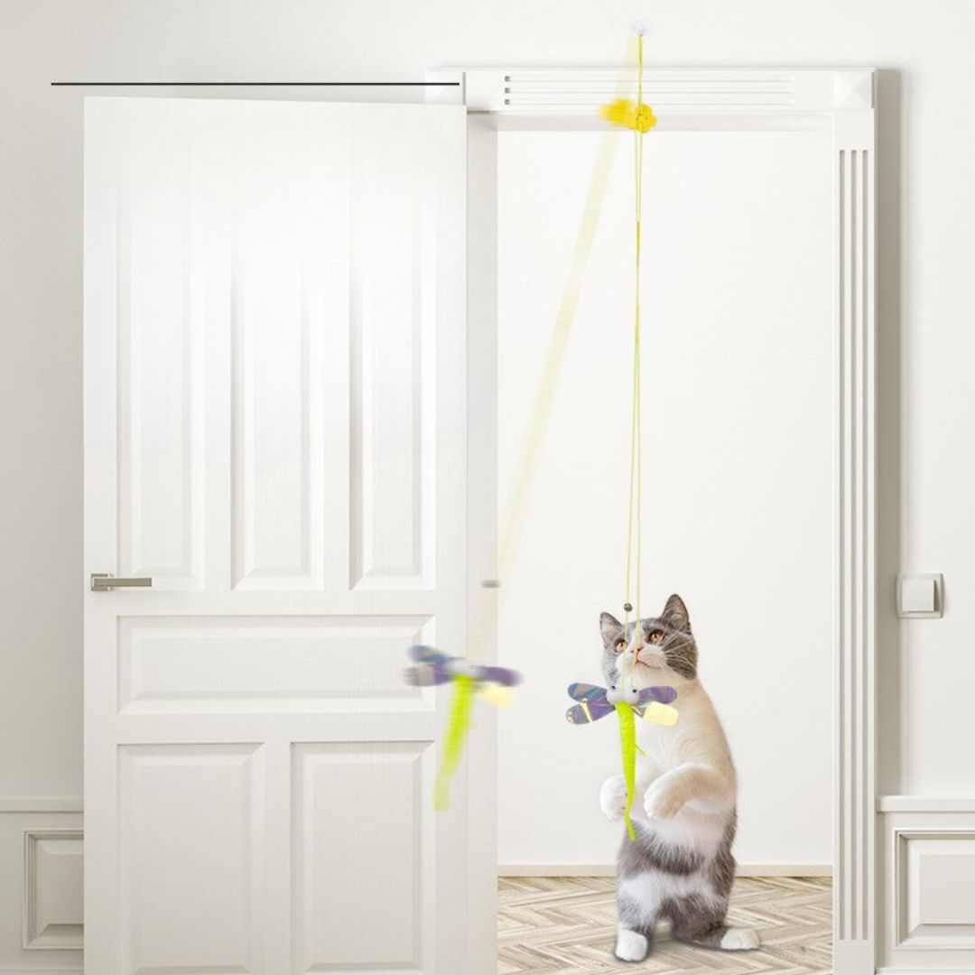 Interactive Hanging Cat Toy, Fun Activity
