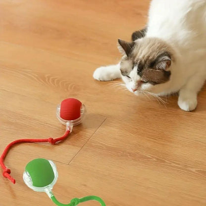Interactive Cat Ball With Tail