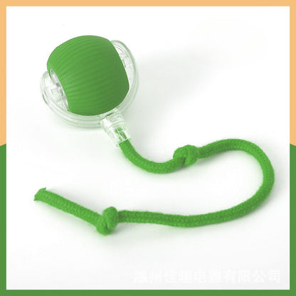 Interactive Cat Ball With Tail