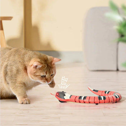 Interactive Cat Toy, Engaging Design