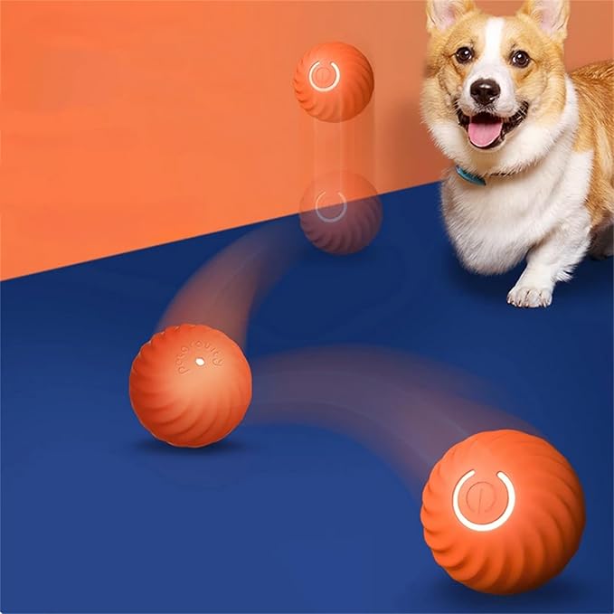 Interactive Play Ball for Dogs, Engaging Activity
