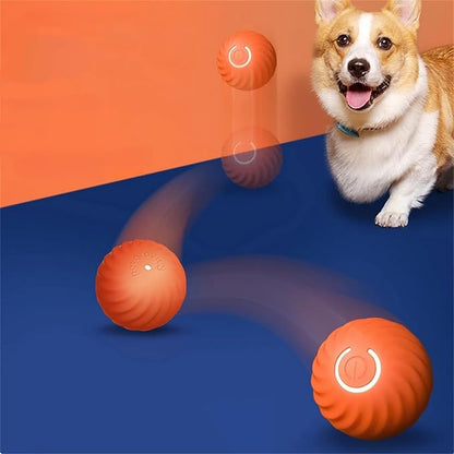 Interactive Play Ball for Dogs, Engaging Activity