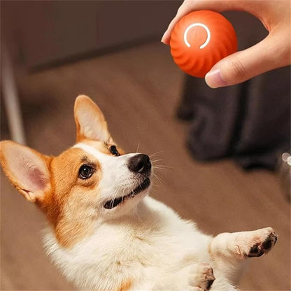Interactive Play Ball for Dogs, Engaging Activity